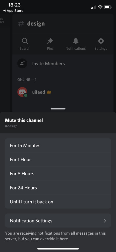 Discord Mute channel screenshot