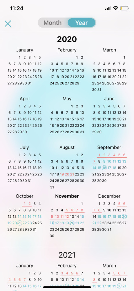 Flo Calendar year screenshot