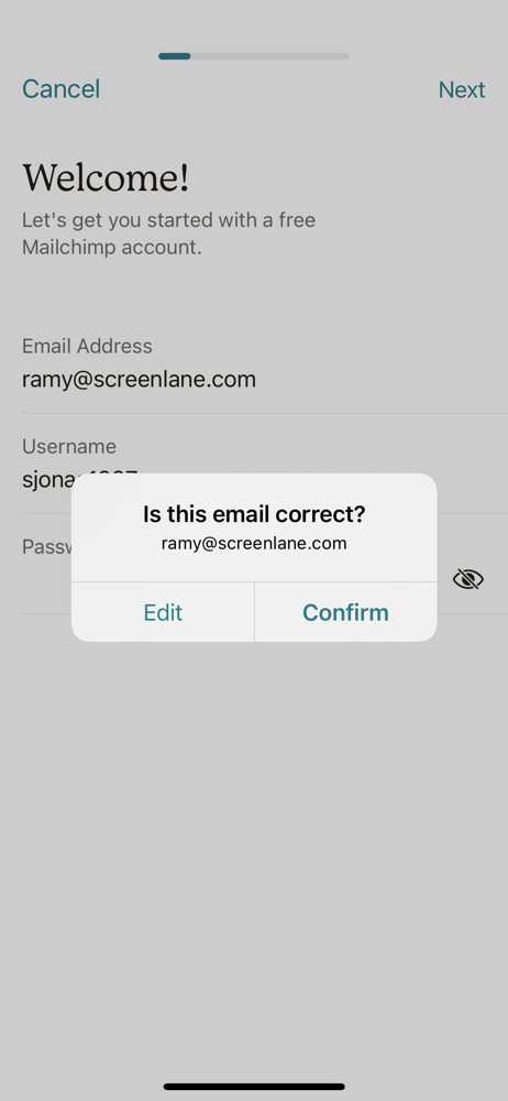 Mailchimp Confirm email screenshot