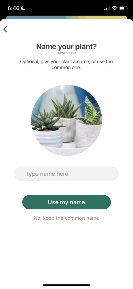 Planta Enter name screenshot
